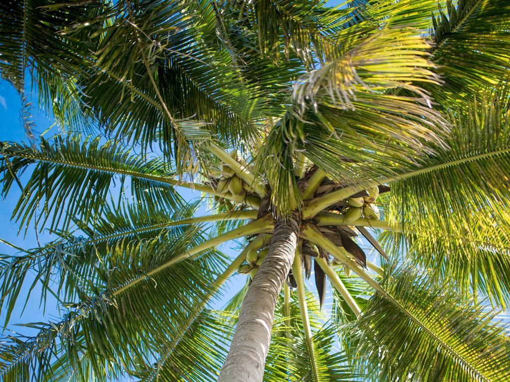 Flowers Of Paradise With Lov Mont-Choisy Exterior foto